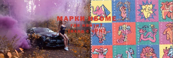 твердый Абаза