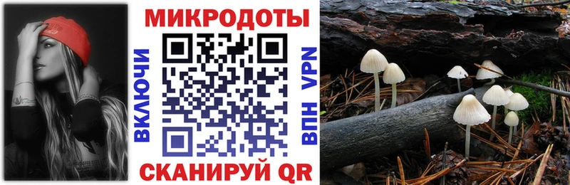 Галлюциногенные грибы мицелий Ахтырский